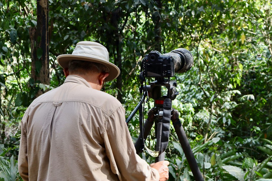person filming action sequence in forest