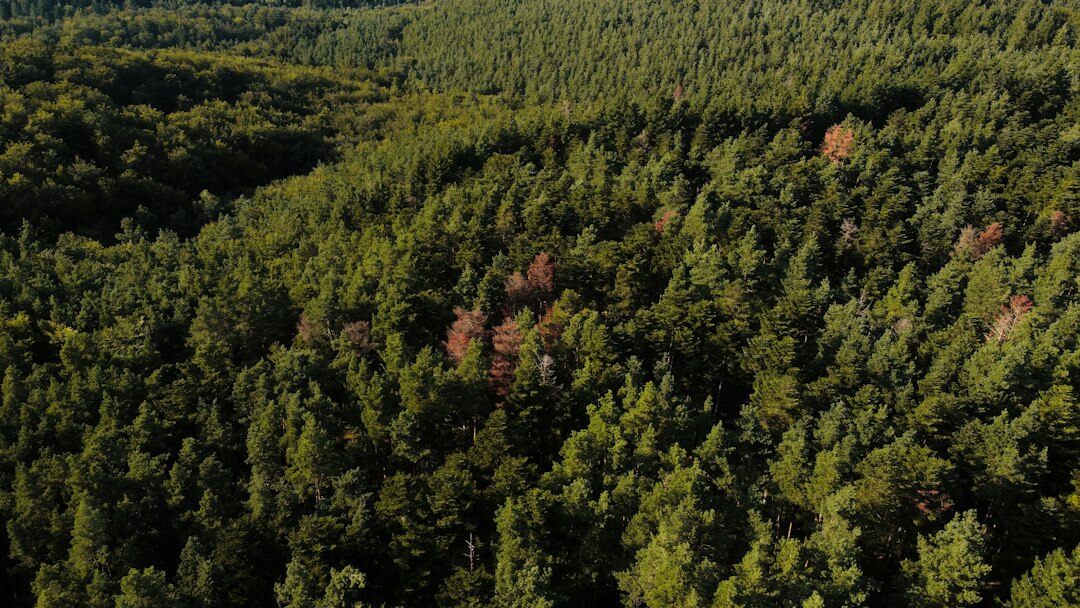 drone flying over mountains